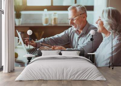 Positive aged couple using laptop Wall mural