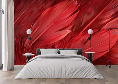 A red feather background Wall mural