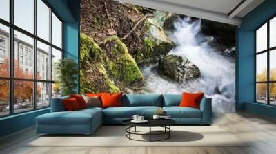 Nature Wall mural