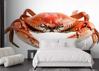 a crab isolated on white background Wall mural