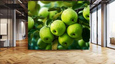 Apple orchard. Ripe green apples in the garden ready for harvest. Wall mural