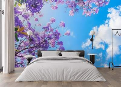 Beautiful blooming purple Jacaranda trees branch on blue sky background Wall mural