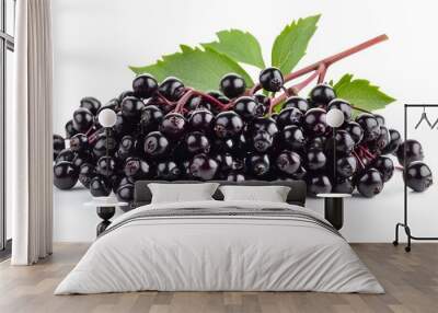 bunches of elderberries isolated on a white background Wall mural