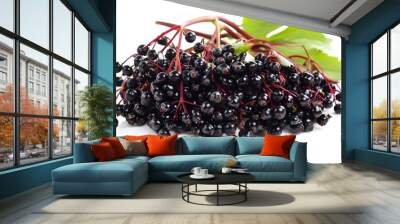 bunches of elderberries isolated on a white background Wall mural