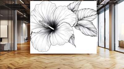 Hibiscus flower outline illustration, Freehand sketching flower, Black and white with line art illustration.
 Wall mural