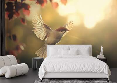 House sparrow flying
 Wall mural