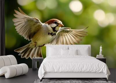 House sparrow flying
 Wall mural