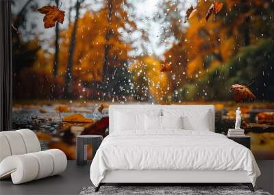 landscape autumn rain drops splashes in the forest background, october weather landscape beautiful park. 
 Wall mural