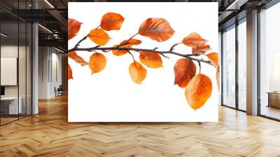 PNG Autumn leaves on branch Wall mural