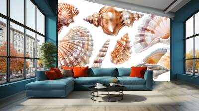 Seashells illustration PNG element cut out transparent isolated on white background ,PNG file ,artwork graphic design.
 Wall mural