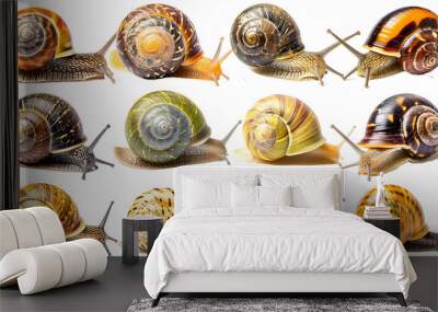 Set of snails isolated on transparent background Wall mural