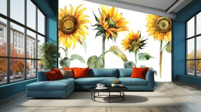 Set sunflowers, watercolor illustration, isolated white background, flora design , cut out Wall mural