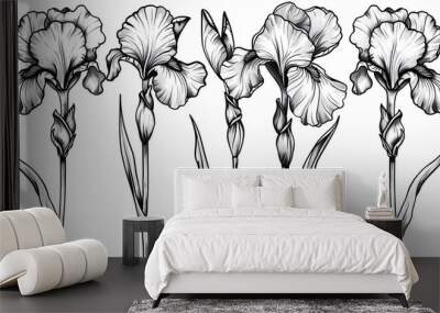 Vector Iris floral botanical flower. Black and white engraved ink art. Isolated iris illustration element. Wall mural