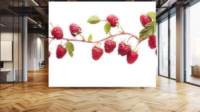 Branch of delicious, ripe raspberries, cut out Wall mural