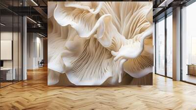 Close up of white colored Oyster mushroom. Wall mural