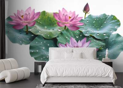 Serene Lotus Flowers Set with Dew Drops on Leaves Isolated on White Background Wall mural