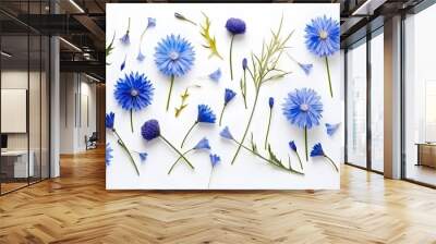 Vegetative composition with flower of blue cornflowers in flat lay style and top view. Wall mural