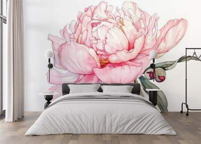 Water Coloured Peony Flower
 Wall mural