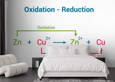 redox reaction. oxidation and reduction reactions. vector illustration isolated on white background. Wall mural