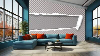 trans ripped paper wide Wall mural