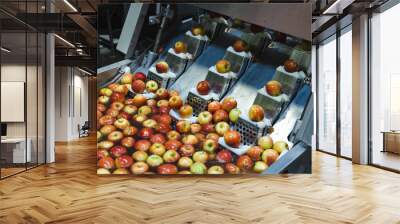 Clean and fresh apples before grating and cutting in food processing facility. Wall mural