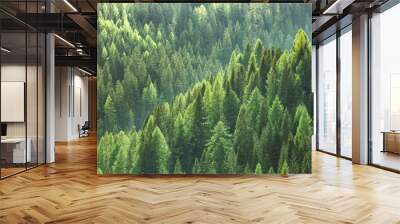 Healthy green trees in a forest of old spruce, fir and pine Wall mural