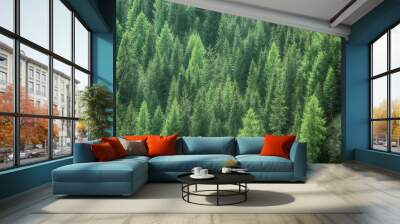 healthy green trees in a forest of old spruce, fir and pine Wall mural