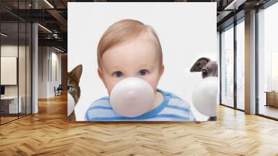 boy, dog and cat with chewing gum Wall mural