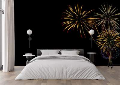 Festival Vector Fireworks on Black backgrounds Wall mural