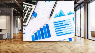 Pen with Data Business Graphs finance Chart document. Wall mural