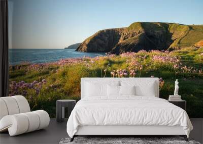 The coast of Ceibwr in Pembrokeshire, Wales with pink sea thrift Wall mural