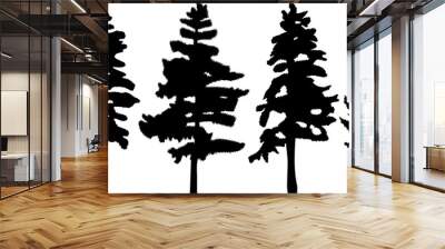 black spruce silhouette, pine tree design vector isolated Wall mural