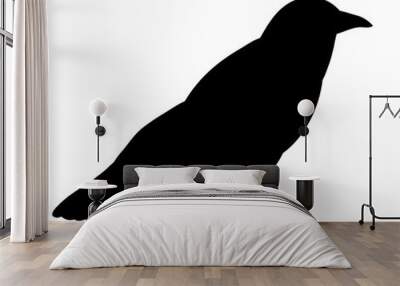 Vector, isolated black silhouette bird, crow Wall mural