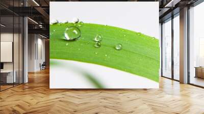 bubble drop on clover isolated on white Wall mural