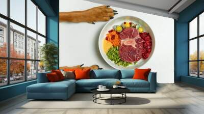 Healthy natural organic dog food BARF diet. Dog's paws by bowl on white background. Raw meat, eggs, vegetables. Wall mural