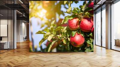 Apple Orchard Wall mural