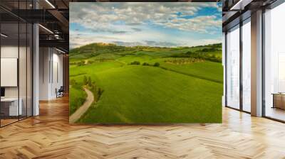 Beautiful panorama landscape of waves hills in rural nature, Tuscany farmland, Italy, Europe Wall mural