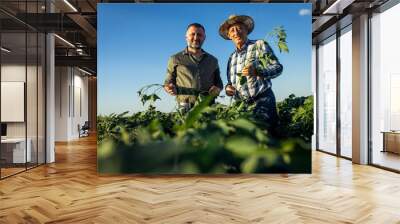 Portrait of two farmers in a soy field. Wall mural