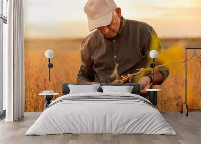 Senior farmer standing in soybean field examining crop at sunset. Wall mural