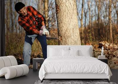 Senior lumberjack cutting tree with axe in the forest Wall mural