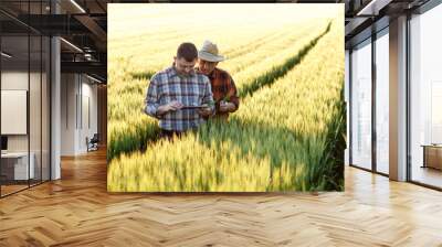 two farmer standing in a wheat field and looking at tablet, they are examining corp. Wall mural