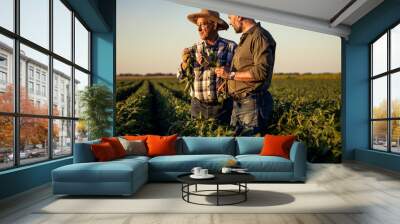 Two farmers in a field examining soy crop at sunset.	
 Wall mural