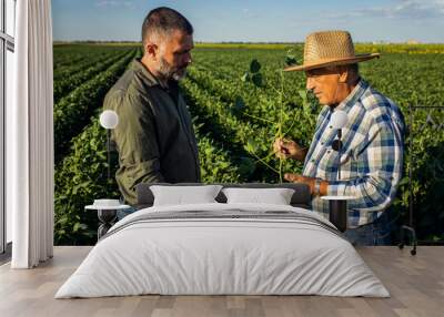 Two farmers in a field examining soy crop. Wall mural