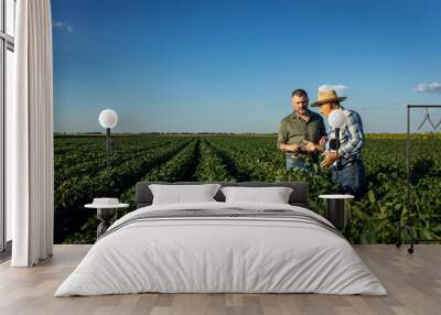 Two farmers in a field examining soy crop. Wall mural