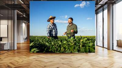 Two farmers in a field examining soy crop. Wall mural