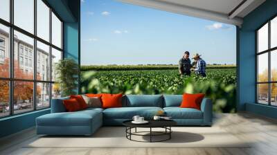 Two farmers in a field examining soy crop. Wall mural