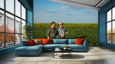 Two farmers in a field examining soy crop. Wall mural