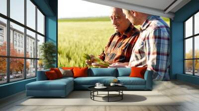 Two farmers in a field examining wheat crop.  Wall mural