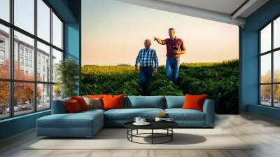 Two farmers walking in a field examining soy crop. Wall mural