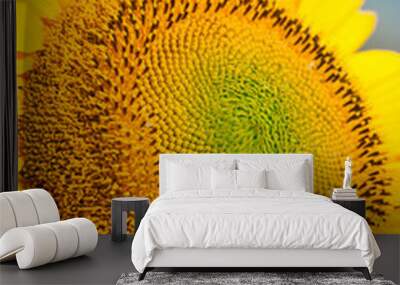 Beautiful sunflower closeup Wall mural